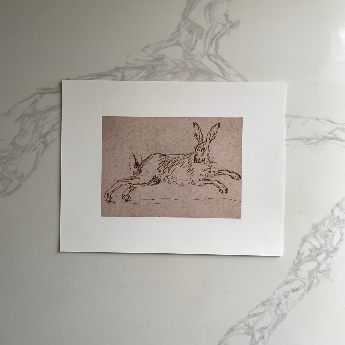 “A Hare Running, with Ears Pricked”