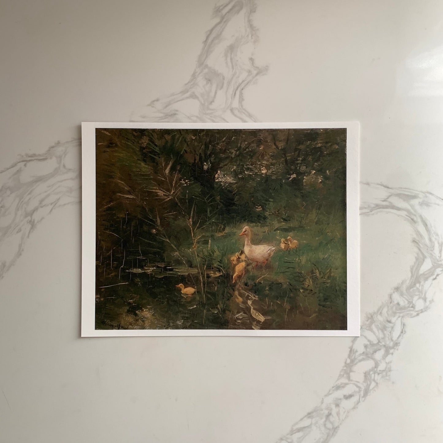 “Eendjes”