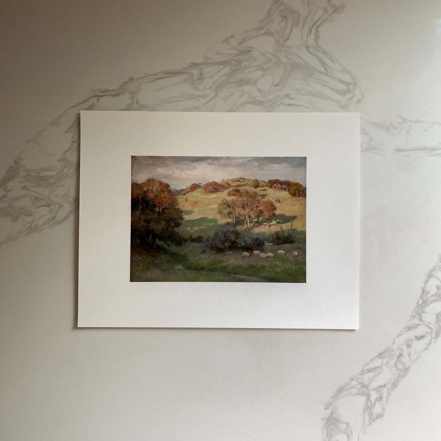 "Sheep on Hill, Galloway"