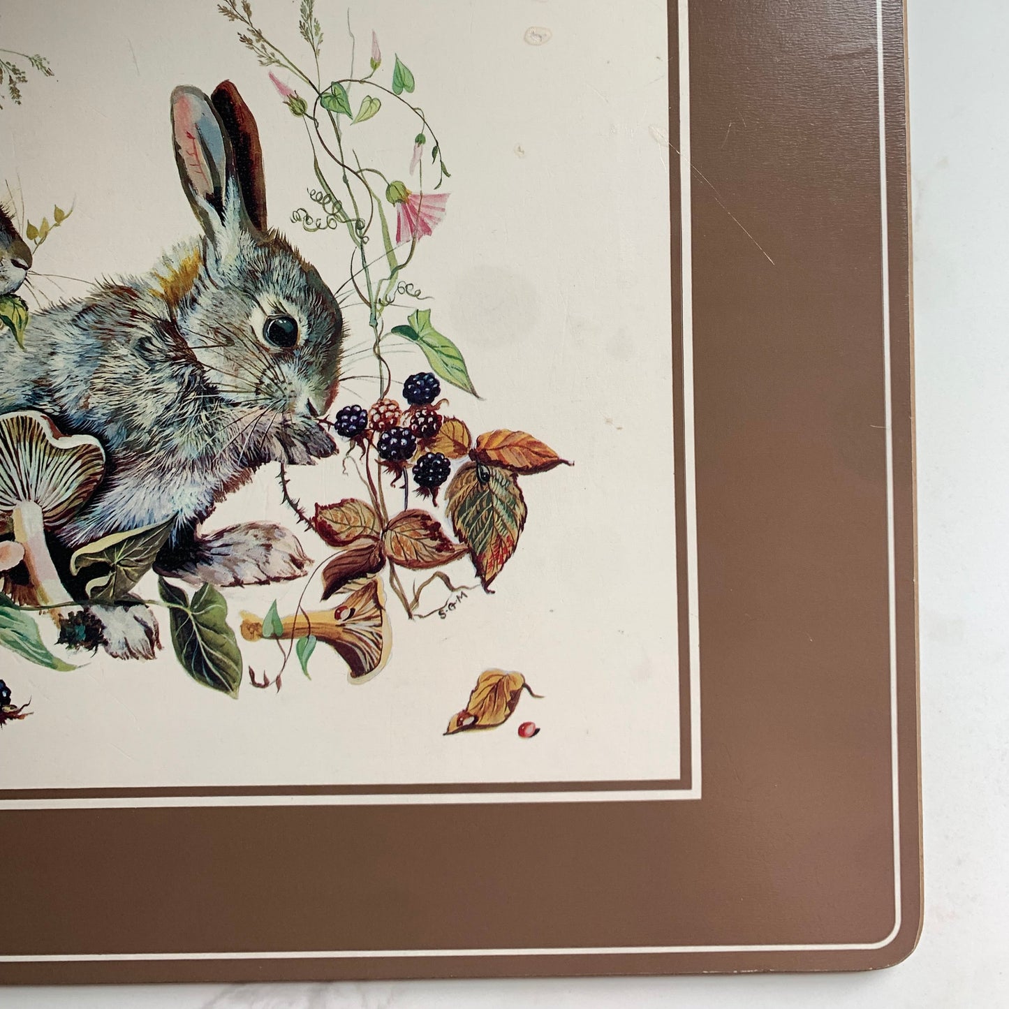 Bunnies Foraging Print on Cork