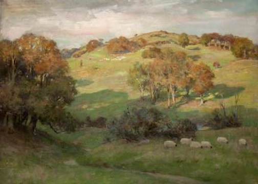 "Sheep on Hill, Galloway"