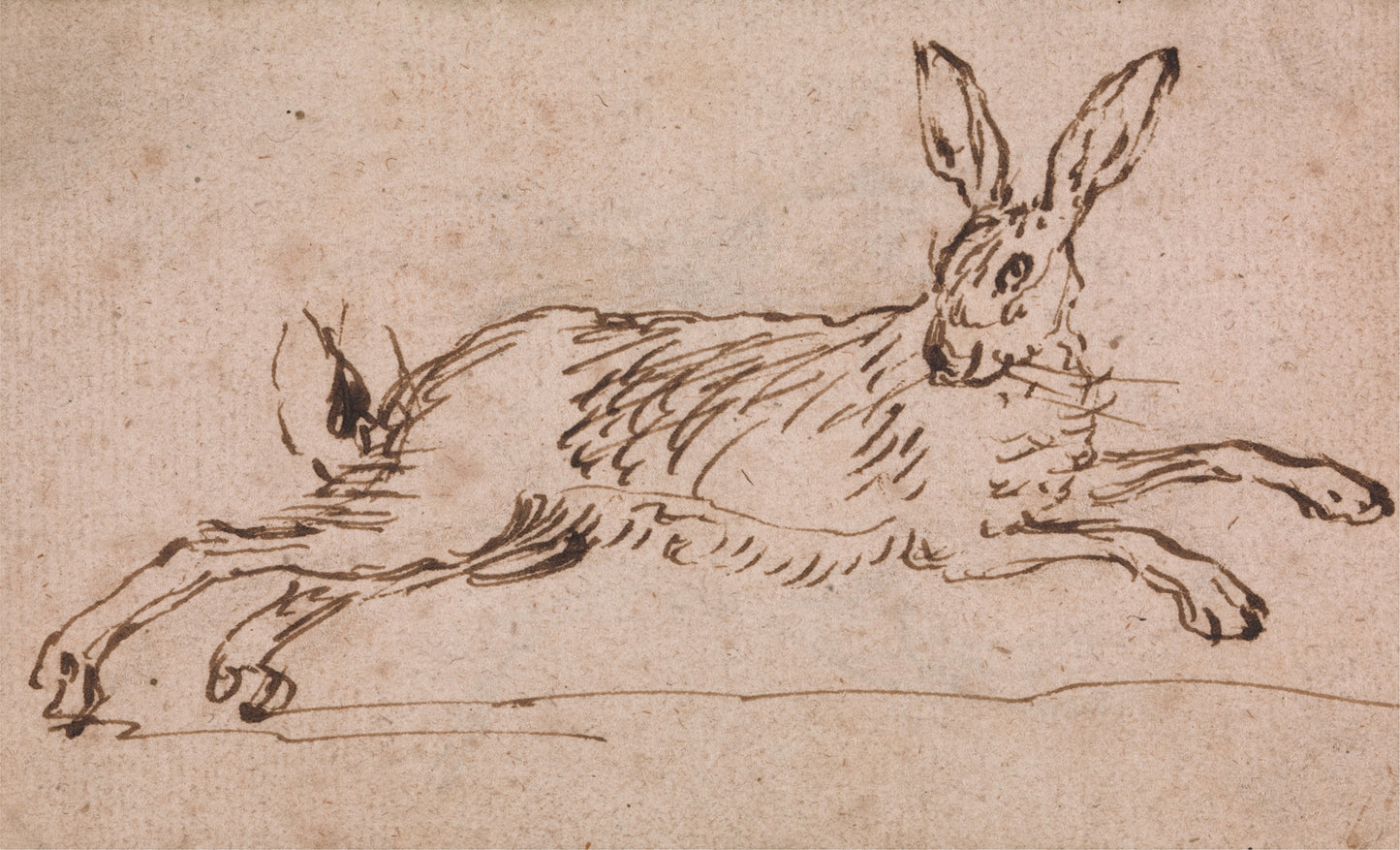 “A Hare Running, with Ears Pricked”