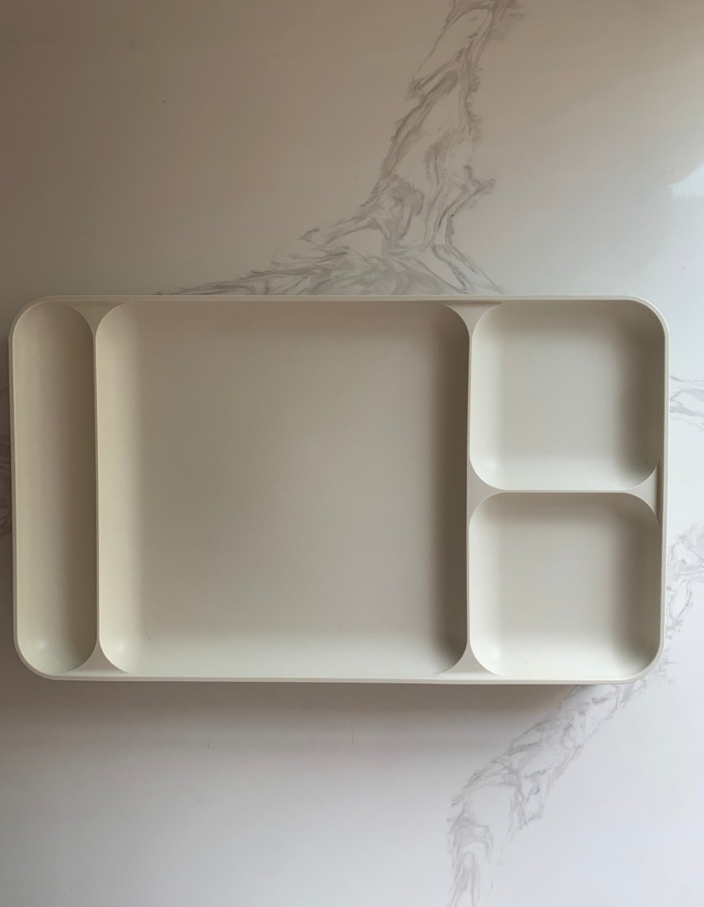 Lunch tray