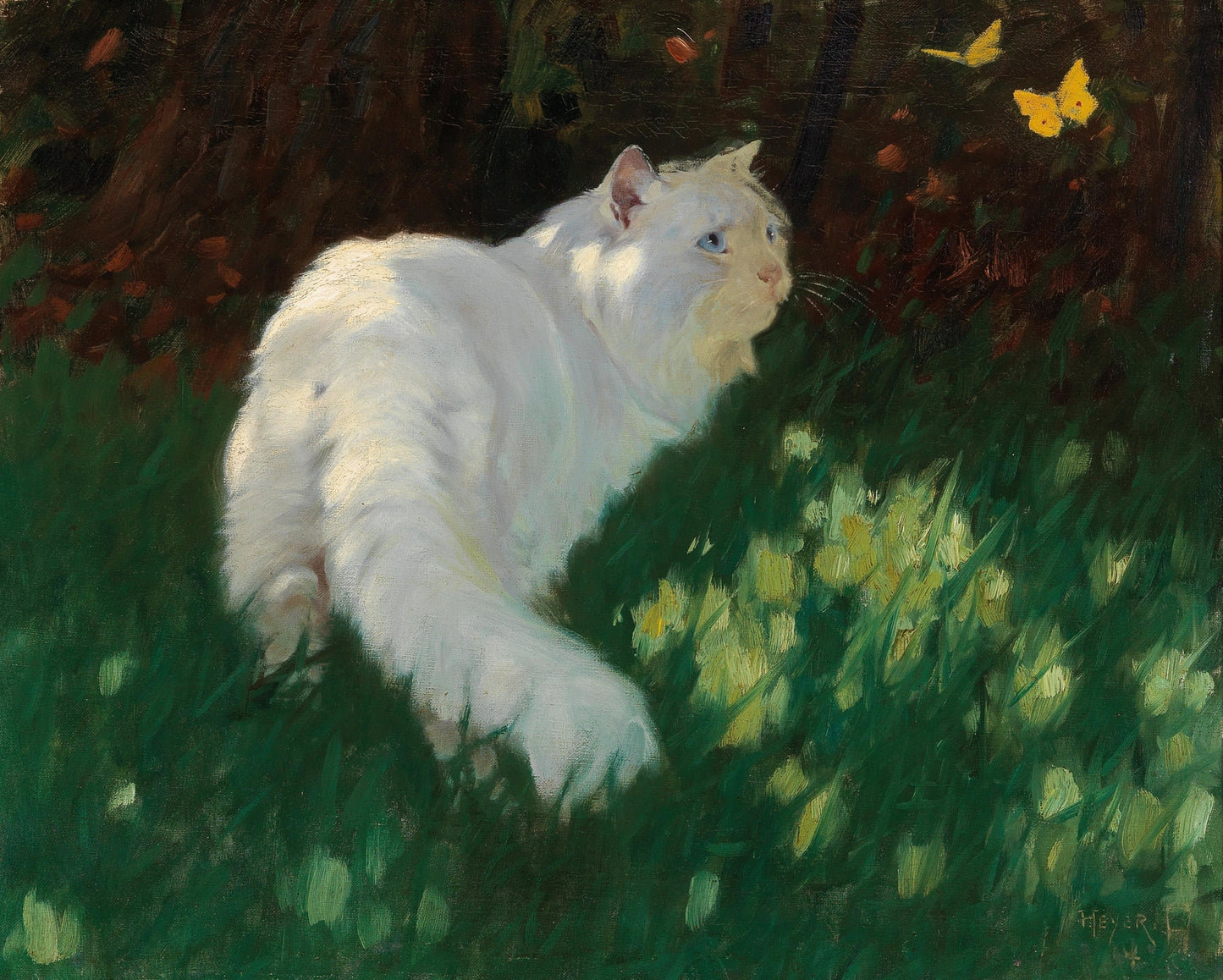 “White Cat and Butterflies”