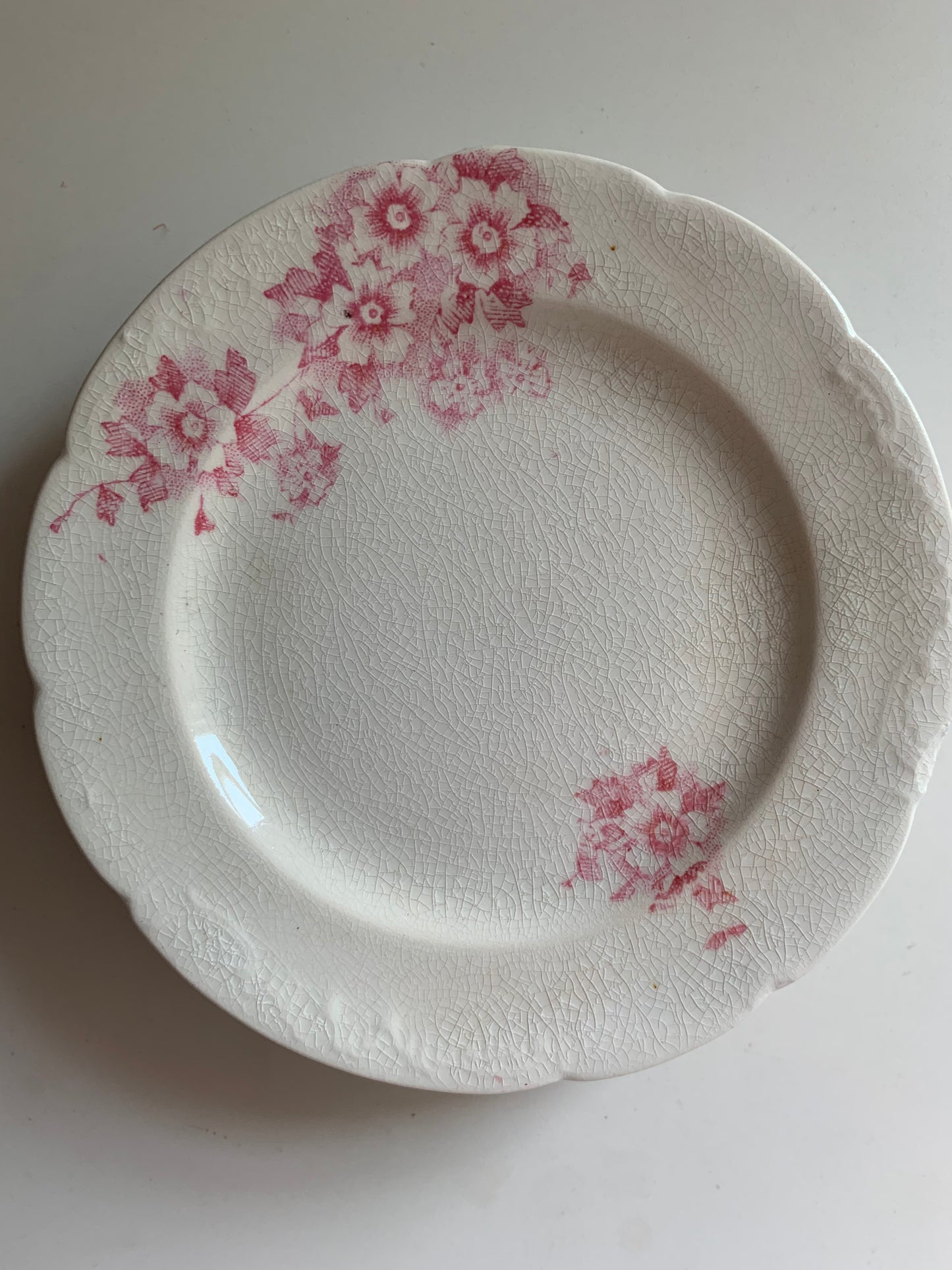 Petite Pink Floral Plate
