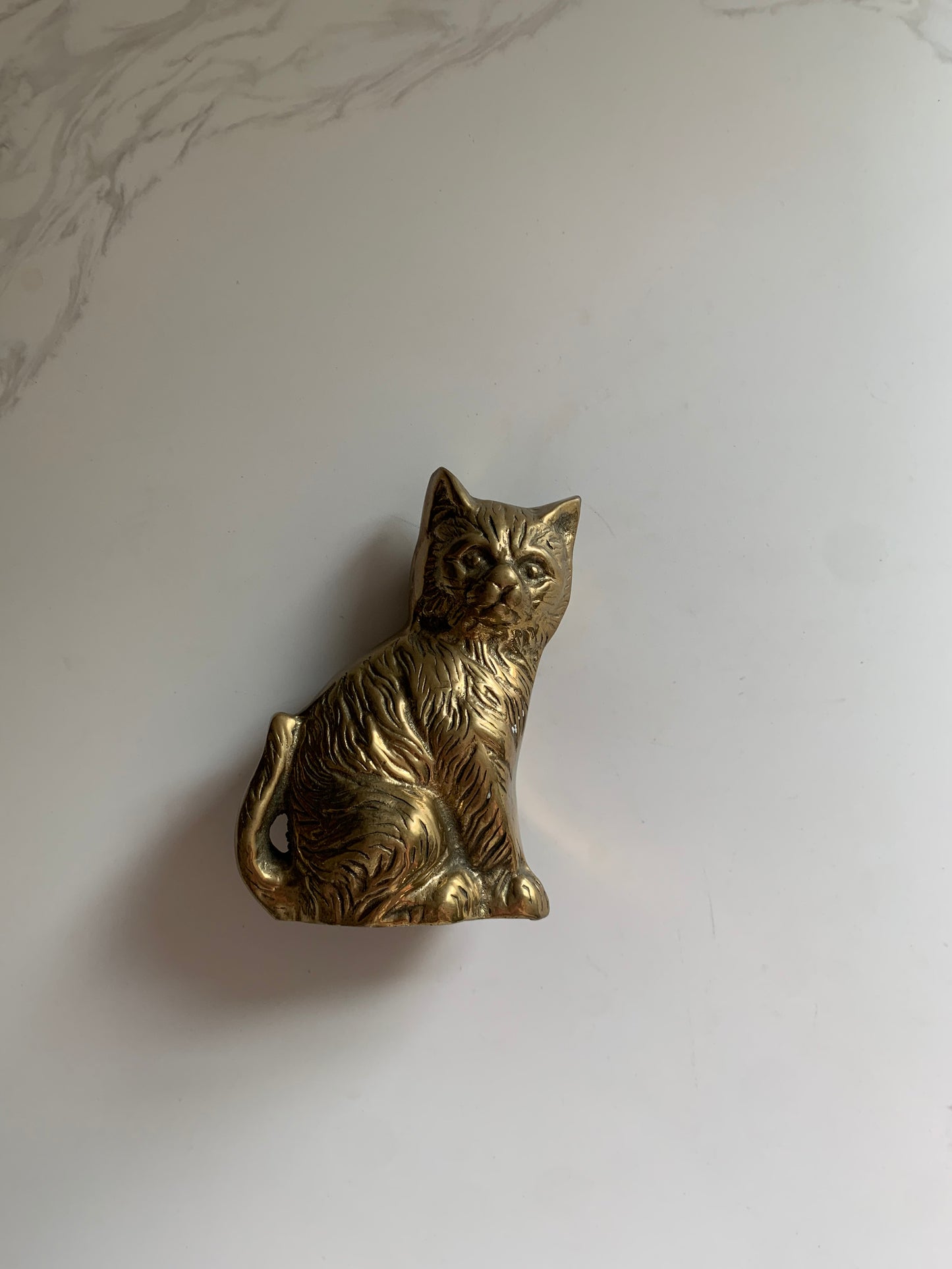 Brass Kitten